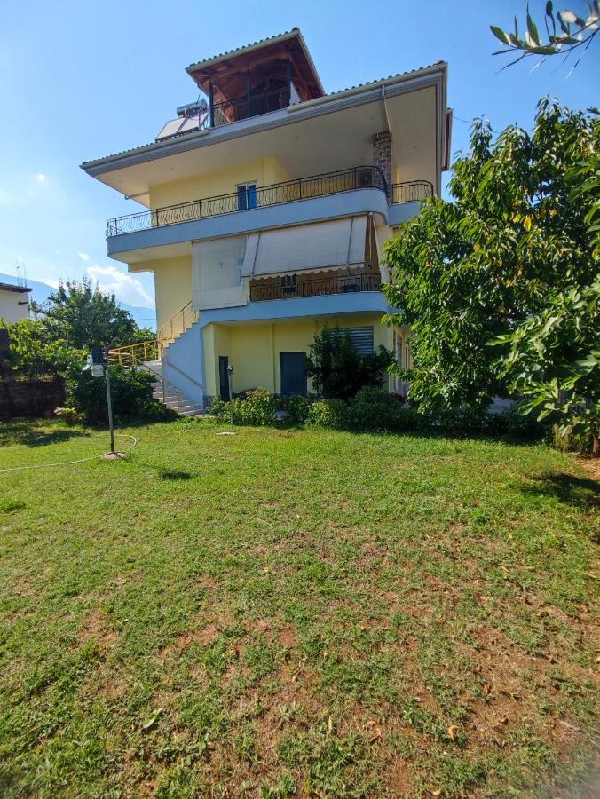 Cheerful 2 Bedroom Villa With Free Parking. Gjirokastër Exterior foto